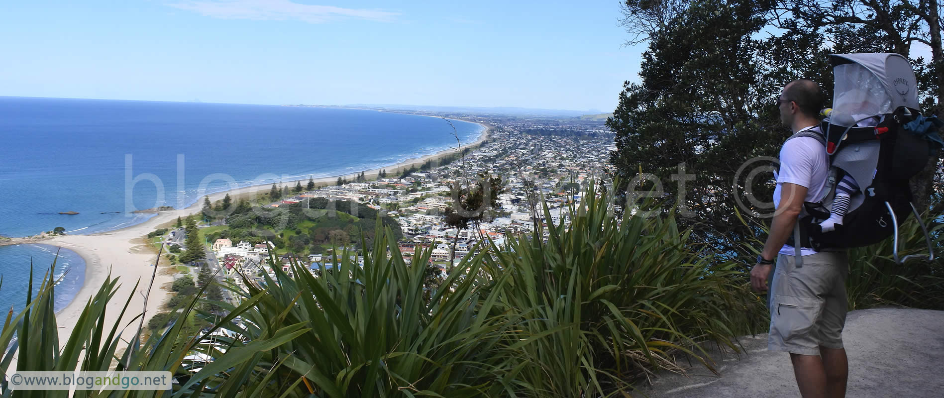 Manganui