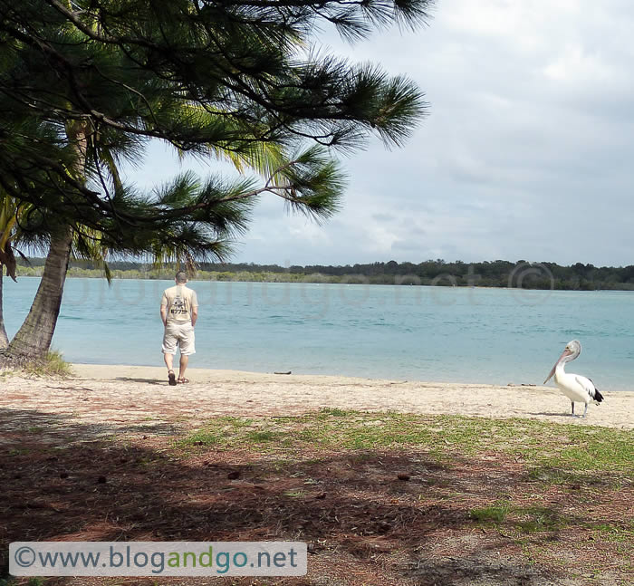 Noosa Heads (Sunshine Coast)