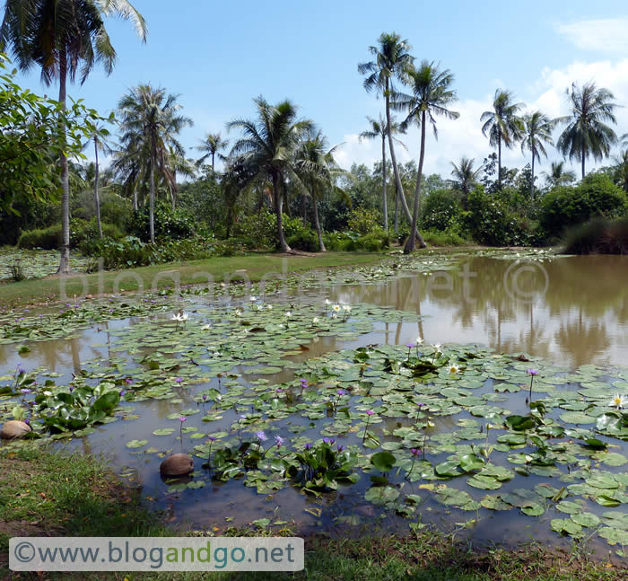 Pulau Ubin